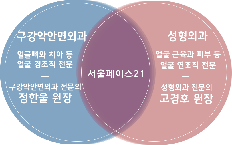 벤다이어그램