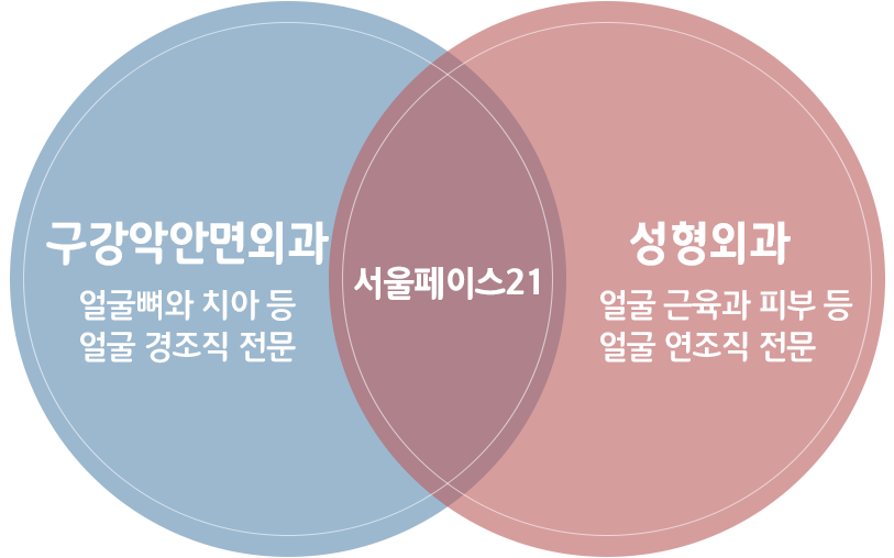 벤다이어그램