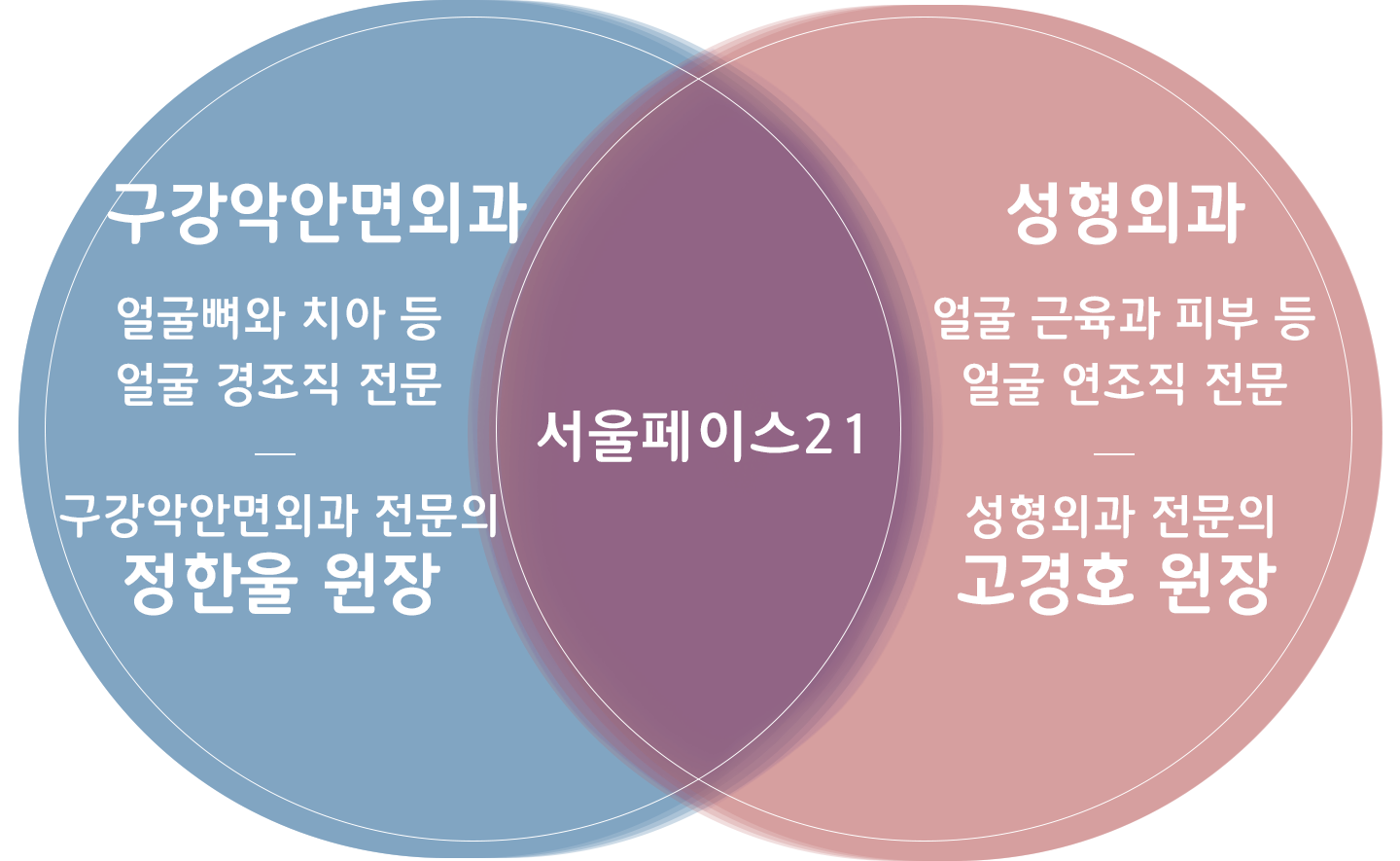벤다이어그램