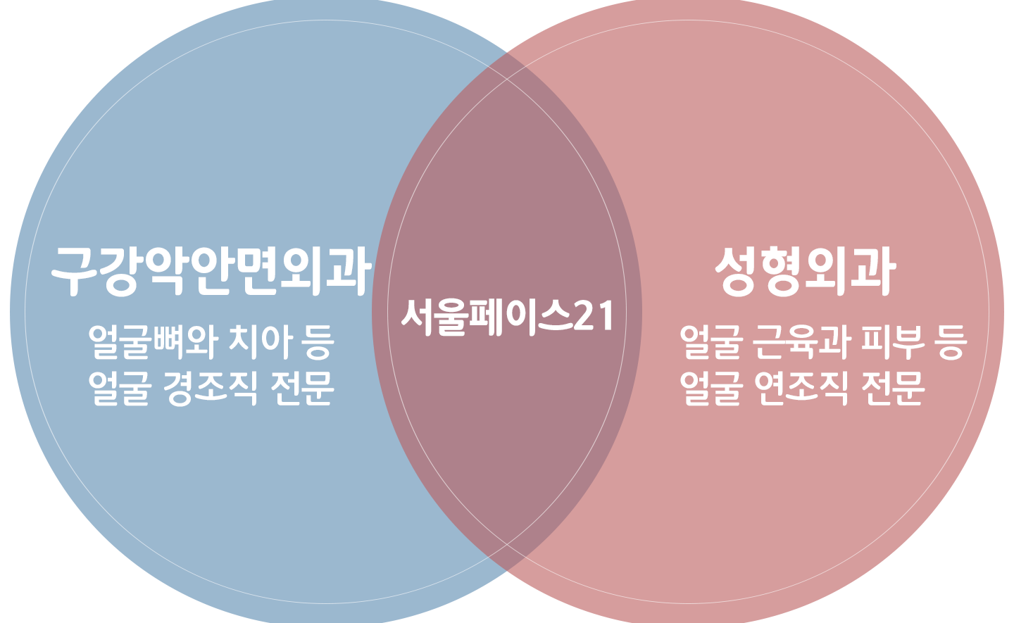 벤다이어그램